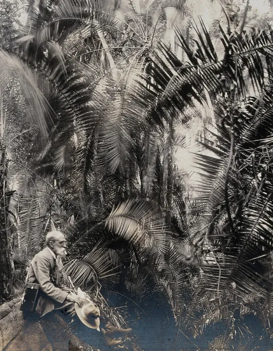 Framed Print : Zimbabwe: a member of the British Association sitting in a palm ravine, 1905. Creator: Geoffrey L Parsons Framed Print : Zimbabwe: a member of the British Association sitting in a palm ravine, 1905. Creator: Geoffrey L Parsons