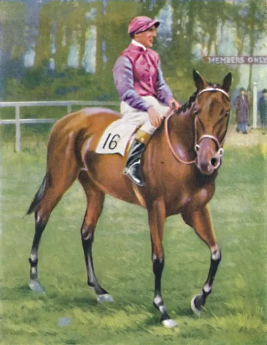 Framed Print : Zoltan, Jockey: M. Beary, 1939 Framed Print : Zoltan, Jockey: M. Beary, 1939