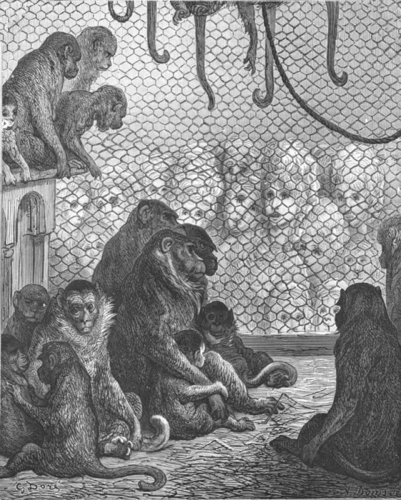 Framed Print : Zoological Gardens - The Monkey House, 1872. Creator: Gustave Doré Framed Print : Zoological Gardens - The Monkey House, 1872. Creator: Gustave Doré