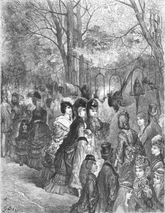 Framed Print : Zoological Gardens - The Parrot Walk, 1872. Creator: Gustave Doré Framed Print : Zoological Gardens - The Parrot Walk, 1872. Creator: Gustave Doré