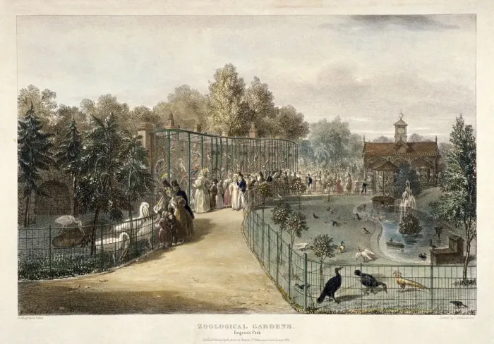 Framed Print : Zoological Gardens, Regents Park, London, 1835. Artist: George Scharf Framed Print : Zoological Gardens, Regents Park, London, 1835. Artist: George Scharf