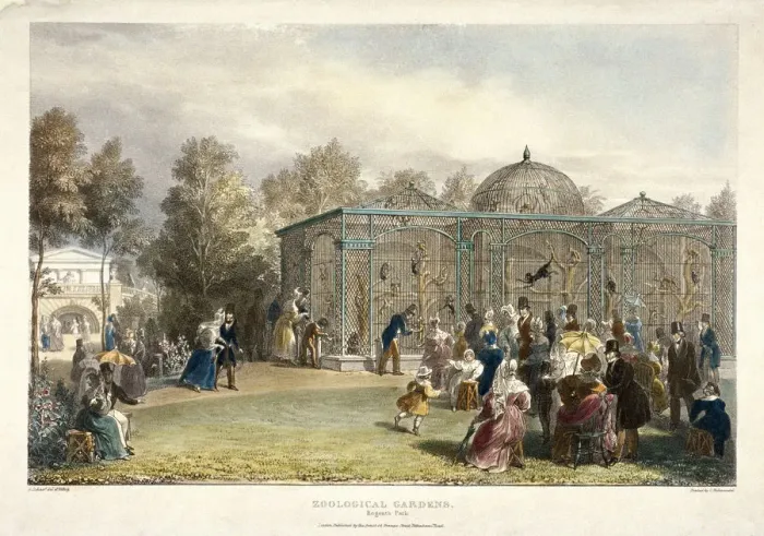 Framed Print : Zoological Gardens, Regents Park, London, 1835. Artist: George Scharf Framed Print : Zoological Gardens, Regents Park, London, 1835. Artist: George Scharf
