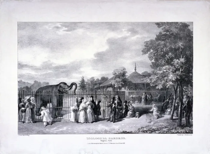 Framed Print : Zoological Gardens, Regents Park, Marylebone, London, 1835. Artist: George Scharf Framed Print : Zoological Gardens, Regents Park, Marylebone, London, 1835. Artist: George Scharf
