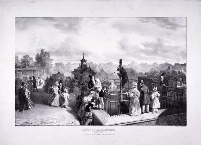 Framed Print : Zoological Gardens, Regents Park, Marylebone, London, 1835. Artist: George Scharf Framed Print : Zoological Gardens, Regents Park, Marylebone, London, 1835. Artist: George Scharf