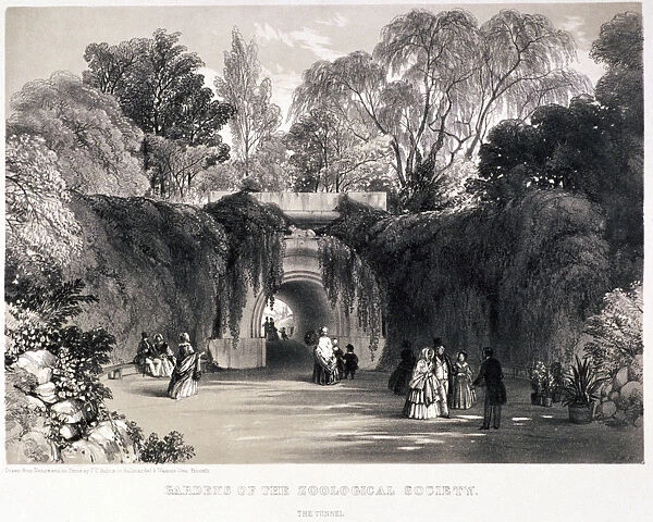 Zoological Gardens, Regents Park, Marylebone, London, c1840. Artist: FW Hulme