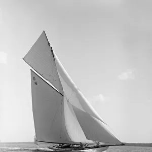 The 15 Metre class sailing yacht Tuiga, 1911. Creator: Kirk & Sons of Cowes