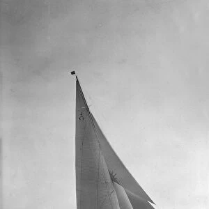 The 205 ton J-class yacht Velsheda sailing close hauled, 1935
