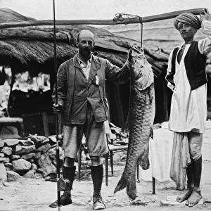 59 lb Mahseer, Caught by Capt. H. B. D. Campbell, R. E. in the Upper Ganges, c1903, (1903)
