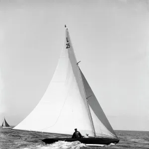 The 6 Metre Stella, 1914. Creator: Kirk & Sons of Cowes