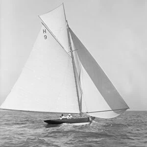 The 8 Metre class Termagent (H9) sailing with spinnaker, 1911
