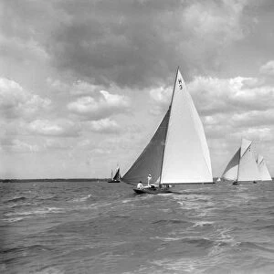 The 8 Metre class Verbena. Termagent and Windflower race downwind, 1911