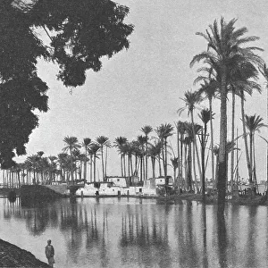 'Abords de l'avenue de Gezireh pendant la crue du Nil; Le Nord-Est Africain, 1914. Creator: Unknown