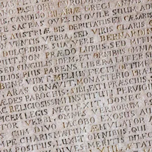 Acta Diurna (Daily Acts or Daily Public Records). The first proto-newspaper, ca 131 BC