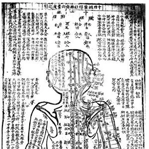 Acupuncture chart for the rear of the body, Japanese, 19th century