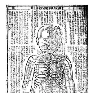 Acupuncture chart for the front of the body, Japanese, 19th century