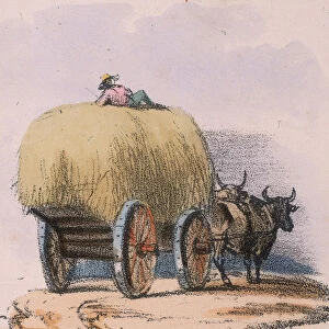 Agricultural, c 1845. Artist: Robert Kent Thomas