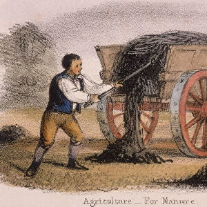 Agriculture, for Manure, c1845. Artist: Benjamin Waterhouse Hawkins
