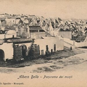 Albero Bello - Panorama dei Monti, c1910