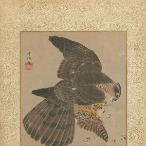 Album of Hawks and Calligraphy, 17th-18th century. Creator: Kano Yoboku Tsunenobu