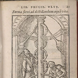 Alchemical apparatus (From: Liber de secretis naturae), 1556-1557. Artist: Ulstadius (Ulstadt), Philipus (Philip) (active 16th century)