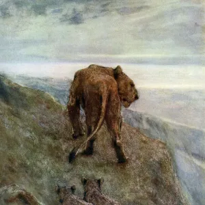 On the Alert - Lioness and Cubs, c1878-1910, (1912). Artist: John MacAllan Swan