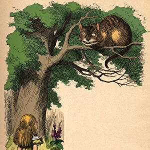 Alice and the Cheshire Cat, 1889. Artist: John Tenniel