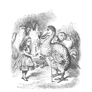 Alice and the Dodo, 1889. Artist: John Tenniel