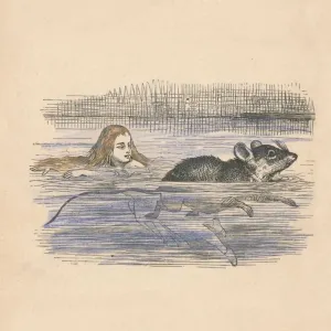 Alice swimming with a mouse in a pool, 1889. Artist: John Tenniel Alice swimming with a mouse in a pool, 1889. Artist: John Tenniel