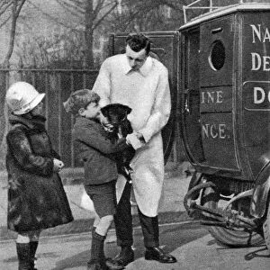 Ambulance of the National Canine Defence League, London, 1926-1927