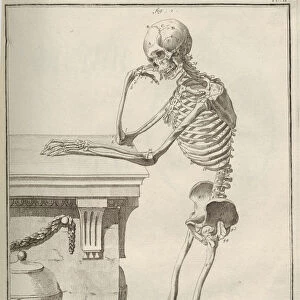 Anatomy. From Encyclopedie by Denis Diderot and Jean Le Rond d Alembert, 1751-1765