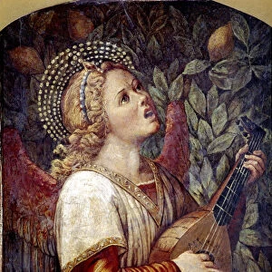 Angel Musician, by Melozzo da Forli
