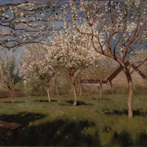 Apple trees blooming. Artist: Levitan, Isaak Ilyich (1860-1900)