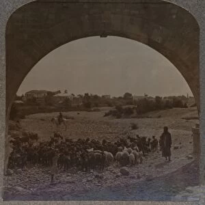 Aqueduct showing Jericho through Arch, c1900