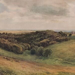Arundel Park, 1874. Artist: Thomas Collier