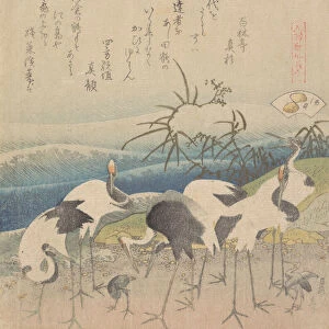 Ashi Clam, from the series "Genroku Kasen Kai-awase", 1821. Creator: Hokusai