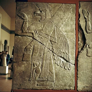 Assyrian relief of Winged genie carrying a cedar-cone