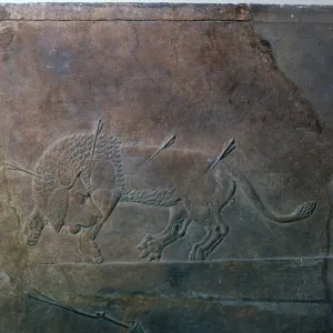 Assyrian relief of a wounded lion from Ashurbanipal, 7th century