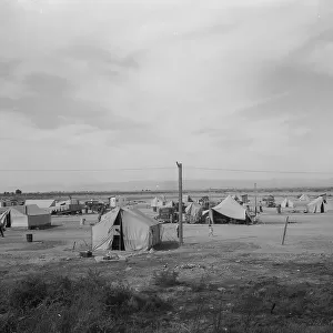 Auto camp north of Calipatria, California, 1937. Creator: Dorothea Lange