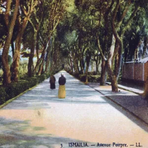 Avenue Poirpre, Ismailia, Egypt, c1900