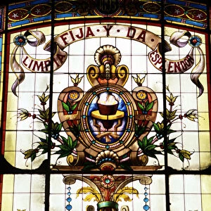 Detail of the badge of the Royal Spanish Language Academy with the motto Limpia