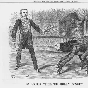 Balfours Irrepressible Donkey, 1888. Artist: Joseph Swain