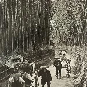 A Bamboo Avenue at Kyoto, 1910. Creator: Herbert Ponting