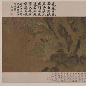 Bamboo, frog, and insects, Ming dynasty, 1368-1644. Creator: Unknown