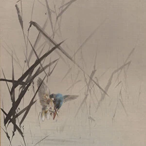 Bird Catching Fish Among Reeds, ca. 1887. Creator: Watanabe Seitei