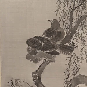 Two Birds on a Branch, ca. 1887. Creator: Kawanabe Kyosai
