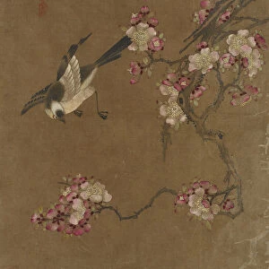 Birds and Flowers, Ming dynasty, 1368-1644. Creator: Unknown