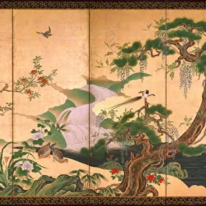 Birds and Flowers of Spring and Summer, Second Half of the 17th cen Artist: Eino, Kano (1631-1697)