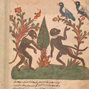 The Birds and the Monkeys with the Glow Worm, Folio from a Kalila wa Dimna, 18th century