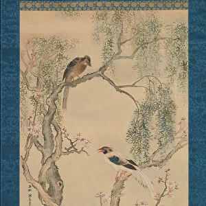 Birds in Willows and Blossoming Peach Tree. Creator: Yosa Buson