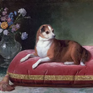 The Bitch on a Cushion, c1694-1735. Artist: Jean Ranc